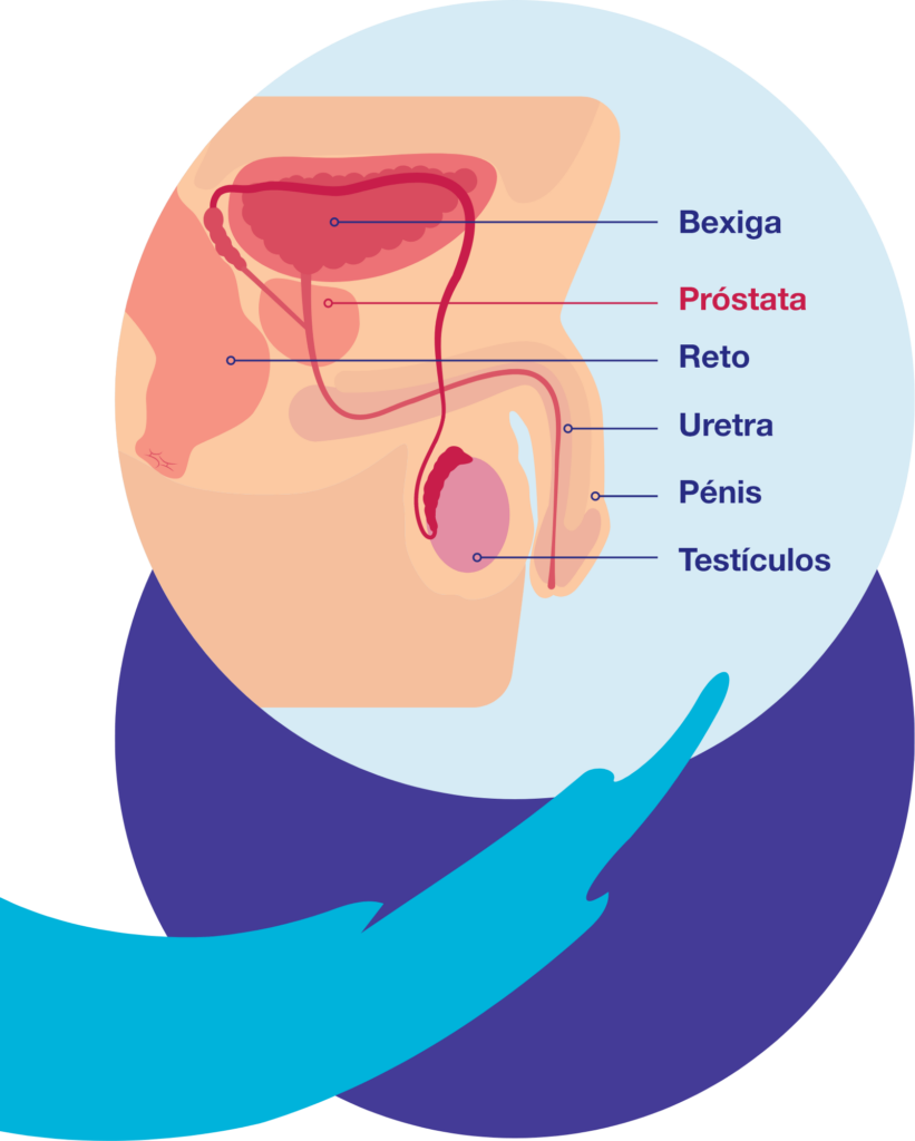 patiente-img-genital-map-mob
